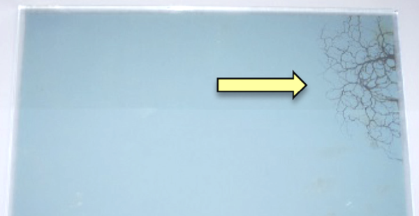 Figur 5. Sprickor i beläggningen på 2Ag-glaset som resultat av HPM-exponering.